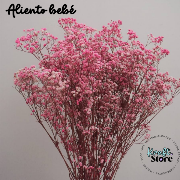 Aliento bebe ramo