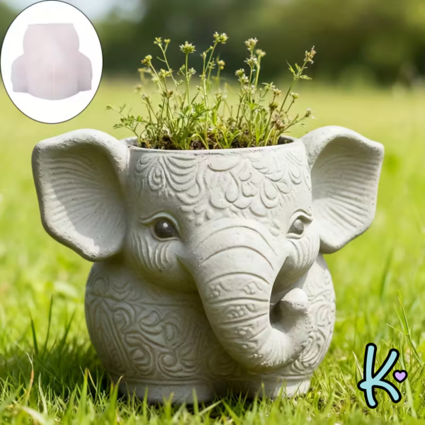 Elefante maceta, envase