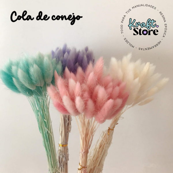 cola de conejo